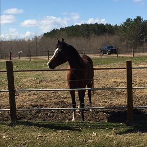 Meet your Posher, Colleen